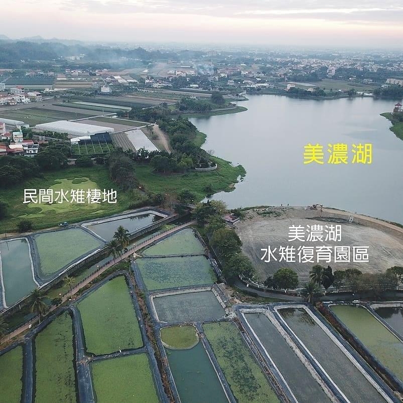 協助美濃湖大小灣水雉棲地成立工作站